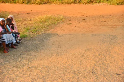 DSC_4319 (Large).JPG